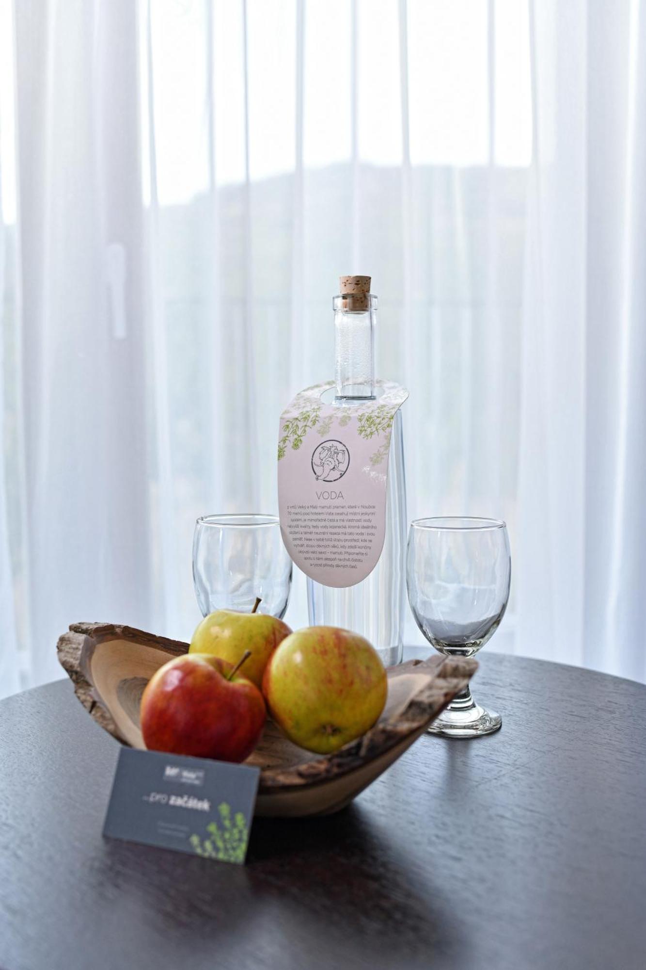 Wellness Hotel Vista Dolní Morava Eksteriør billede