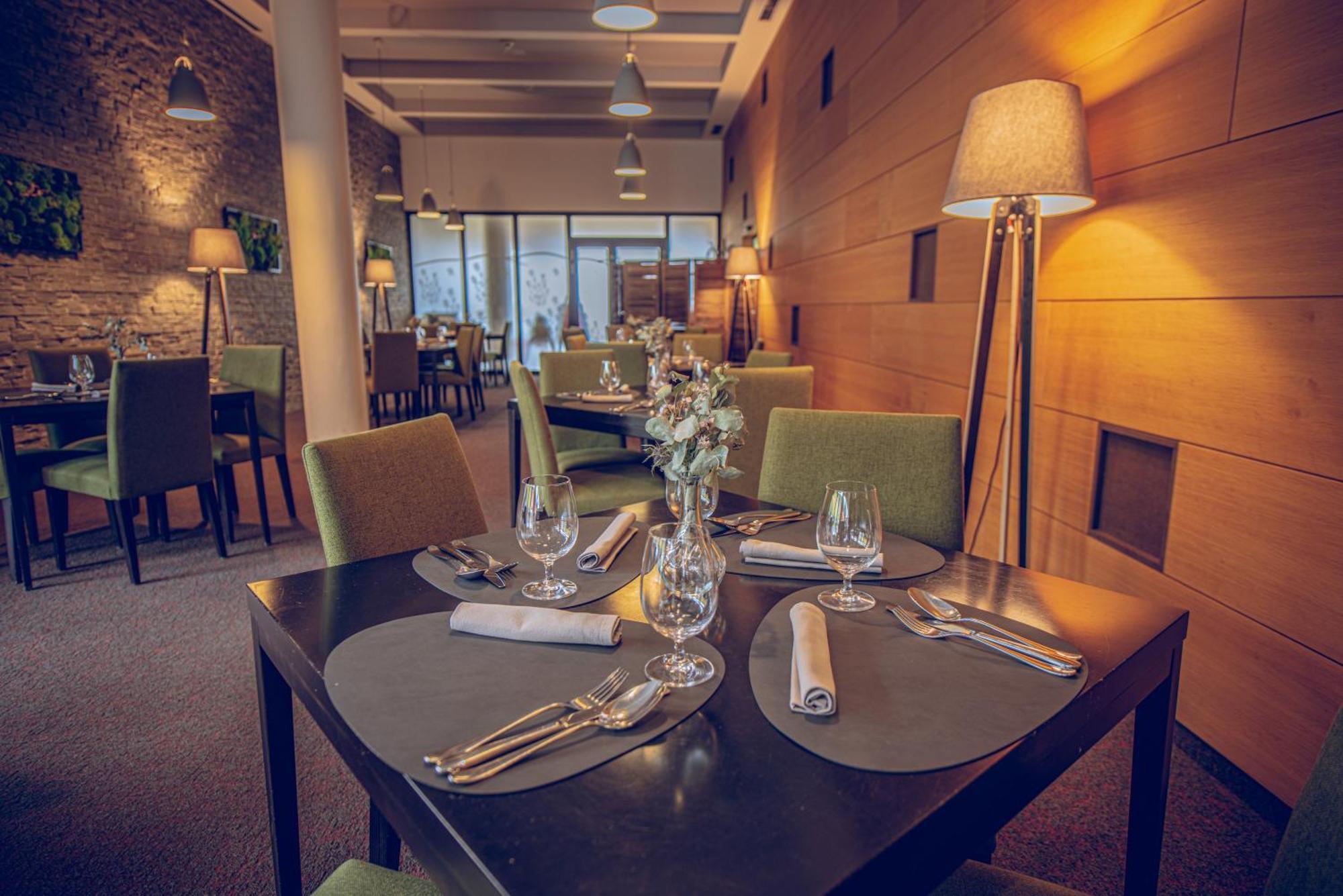 Wellness Hotel Vista Dolní Morava Eksteriør billede